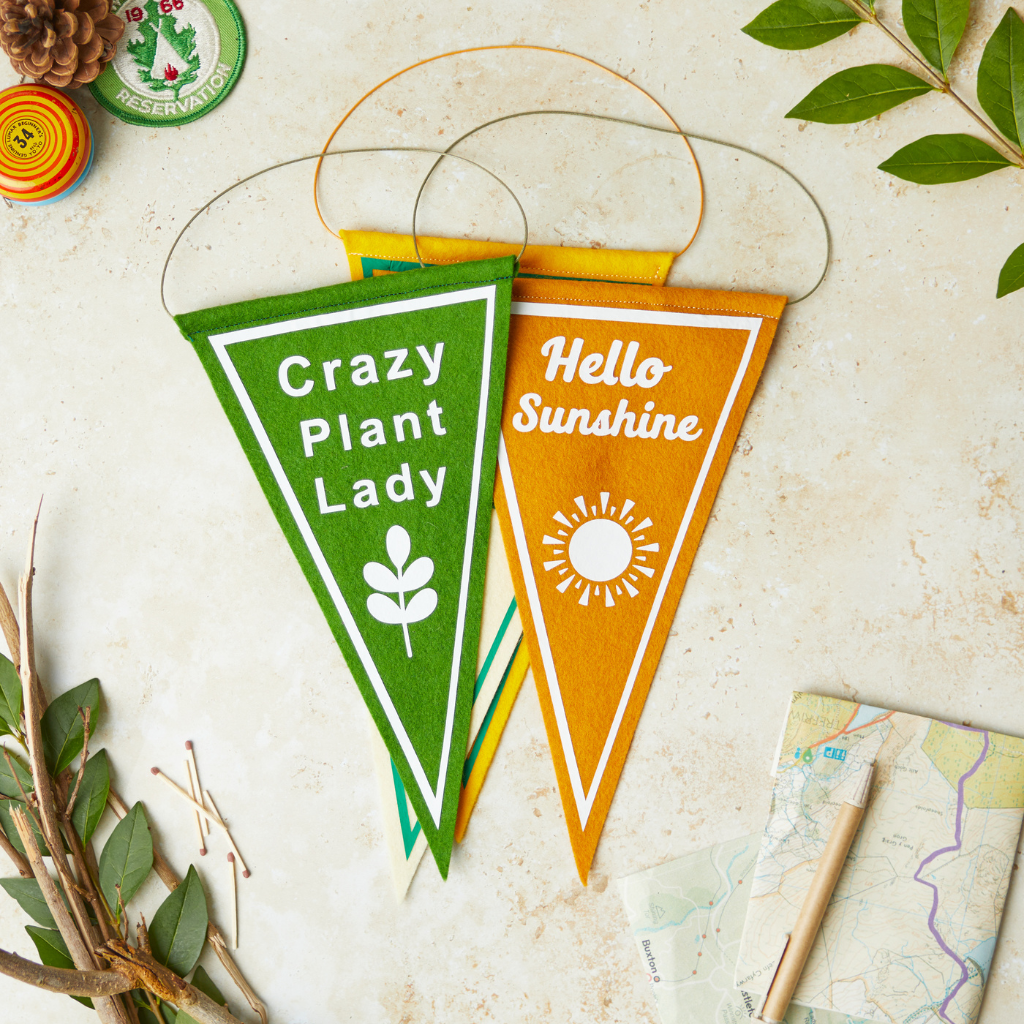 3 mini pennant flags