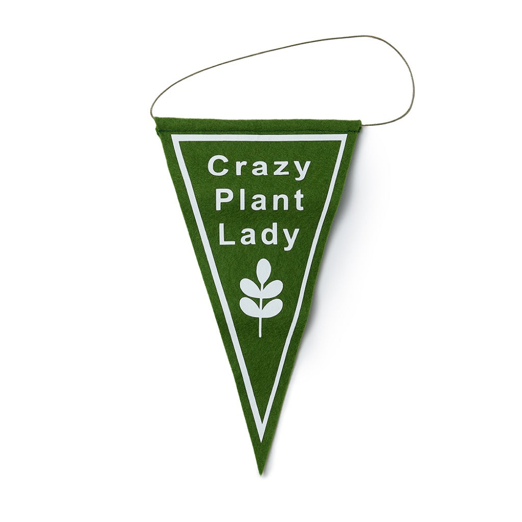 crazy plant lady mini pennant flag