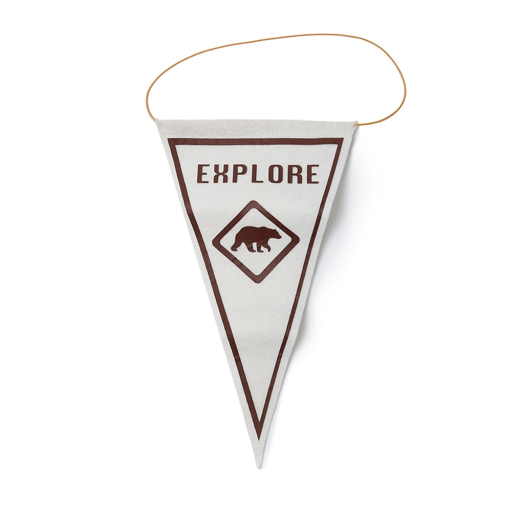 Explore mini pennant flag