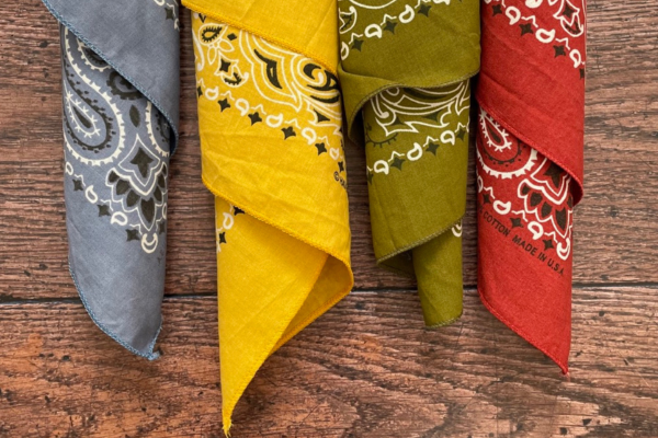 Four coloured cotton bandanas