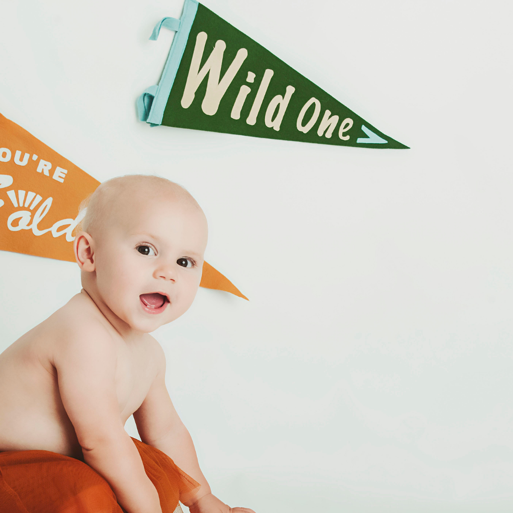 Baby with Wild One Flag