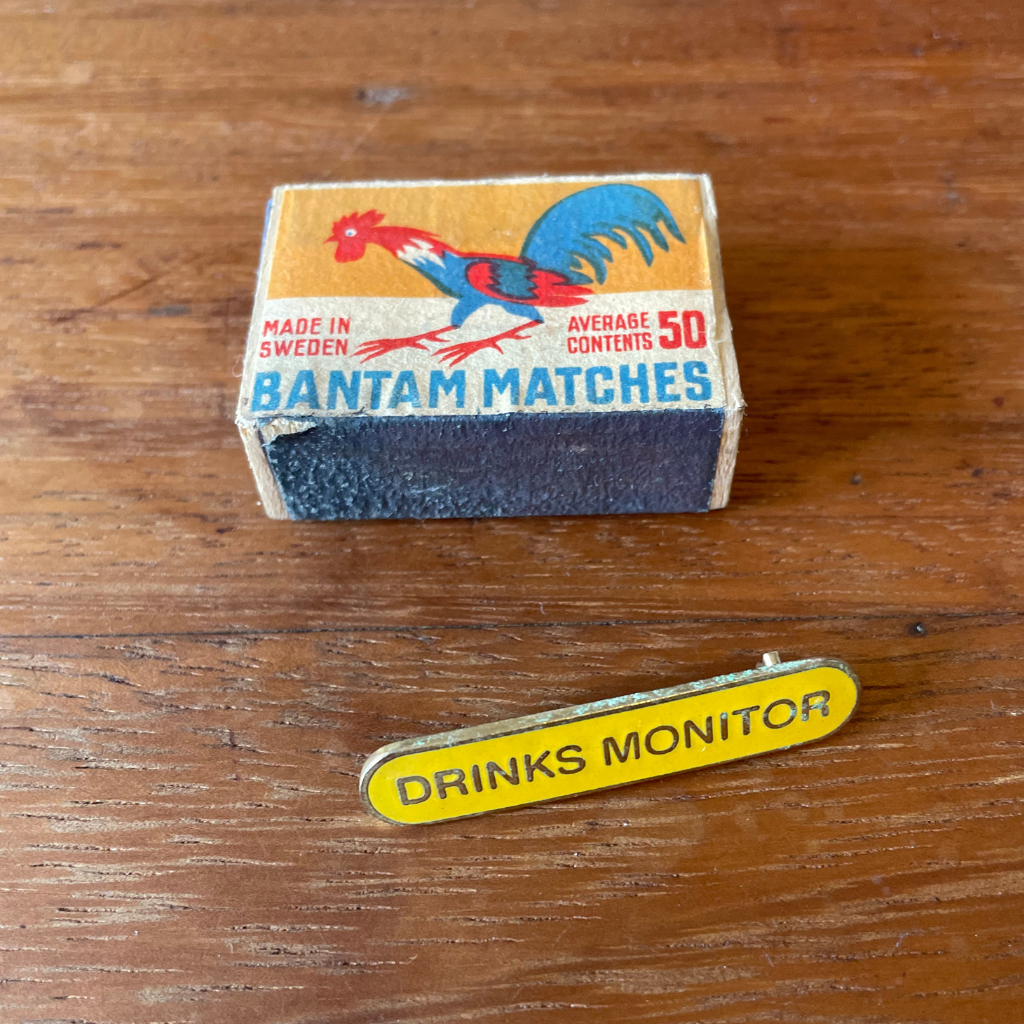 Vintage Pin Brooch