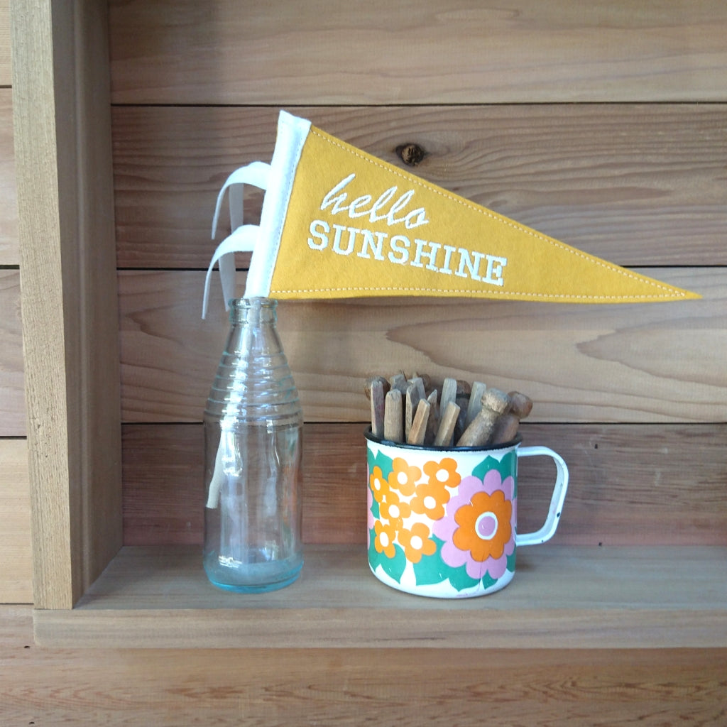 'Hello Sunshine' Mini Pennant Flag