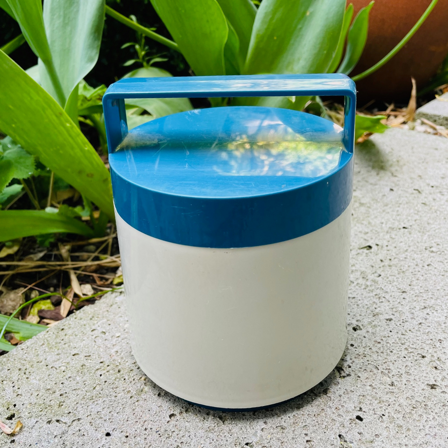 Vintage Thermos Flask Retro Flask Pineandbear