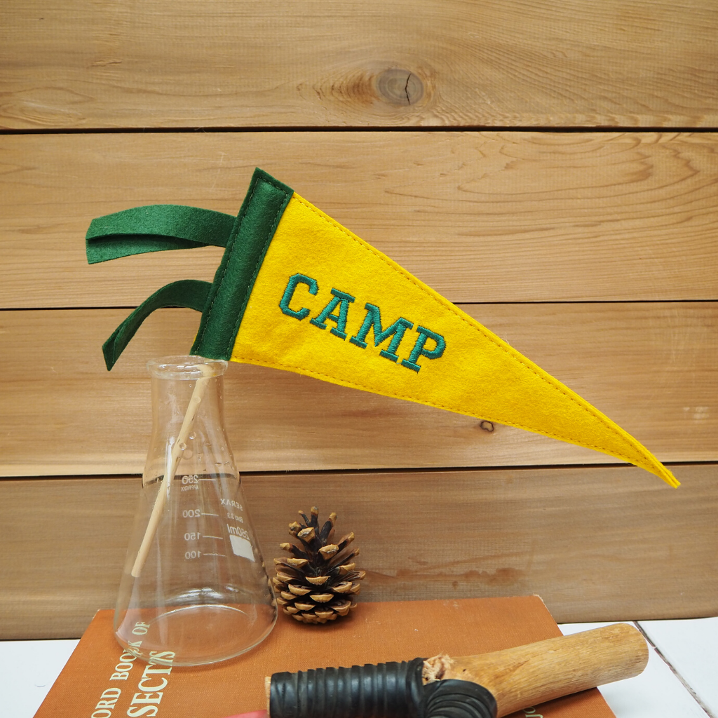 Camp Mini Pennant Flag