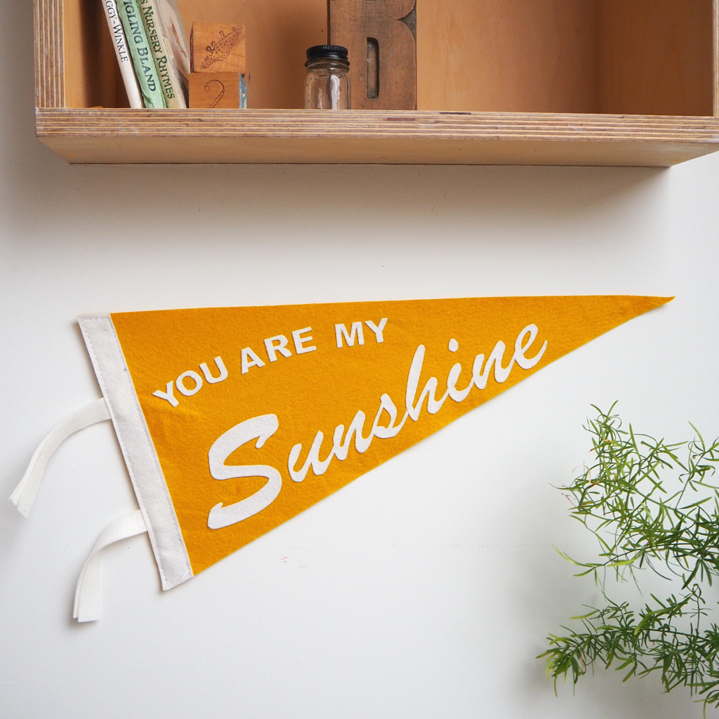 You are My Sunshine Pennant